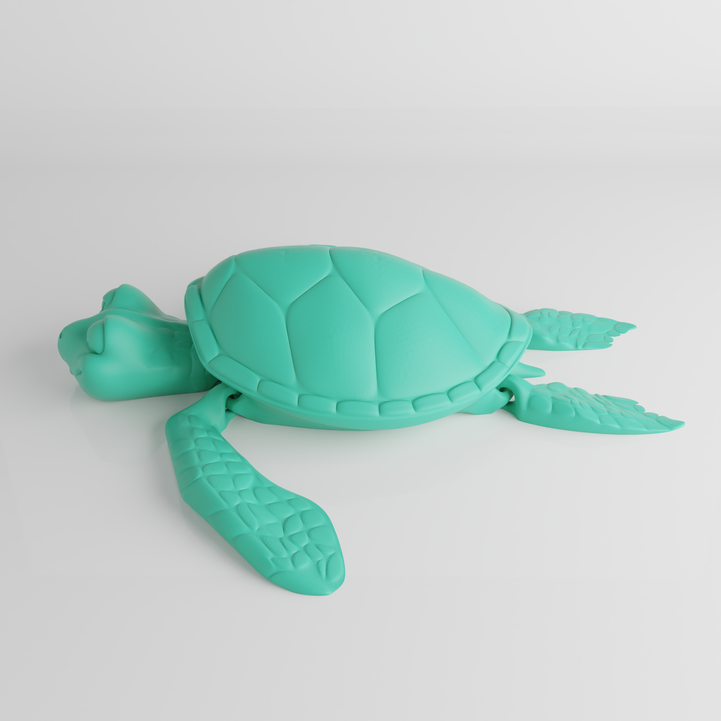 Turtle Flexi