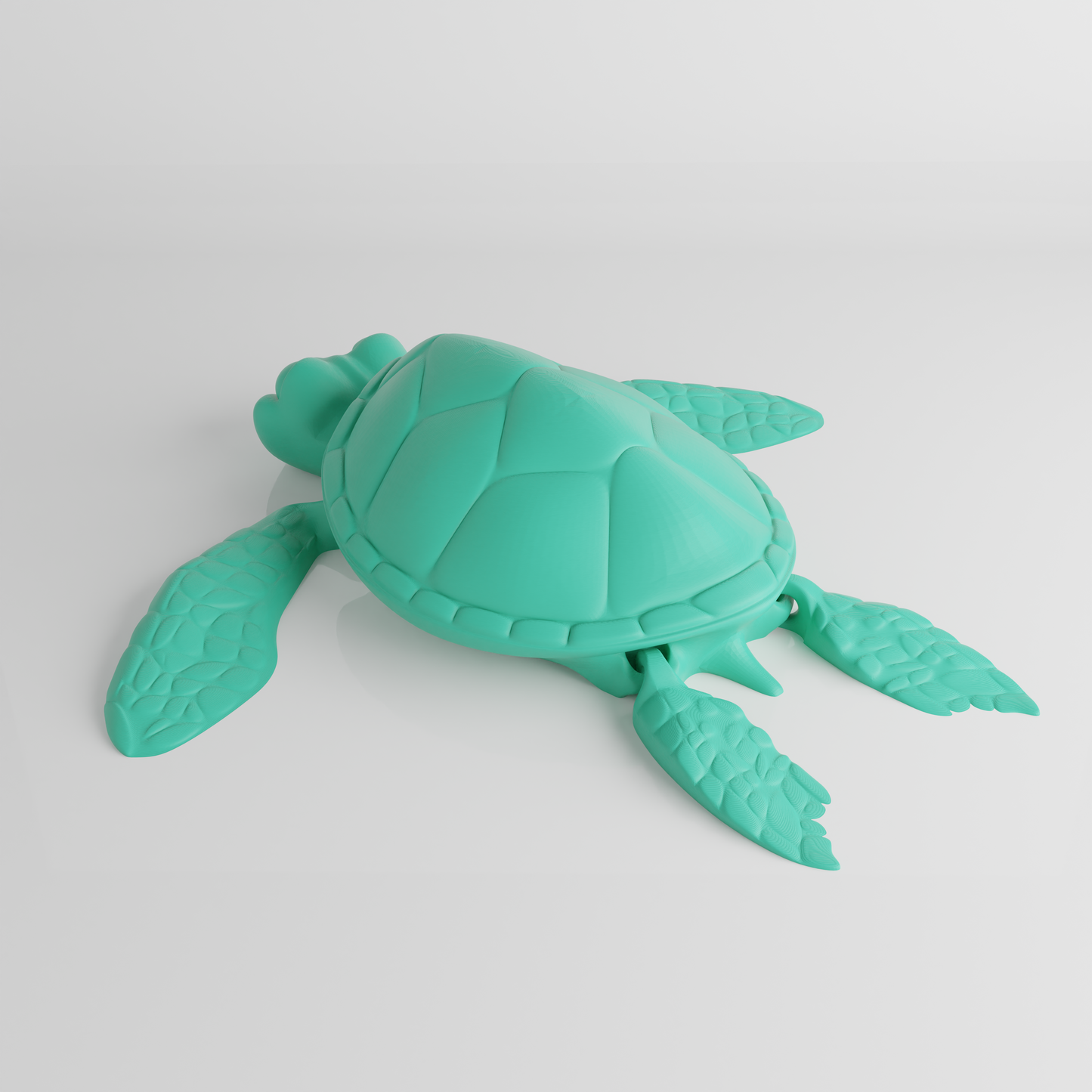 Turtle Flexi